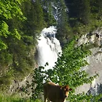 Waldrand *